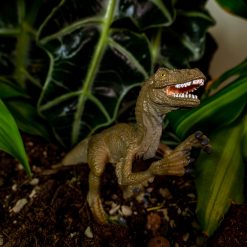 Velociraptor