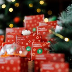 Adventskalender 2026 - Bild 3