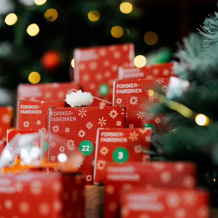 Adventskalender 2026 - Bild 2