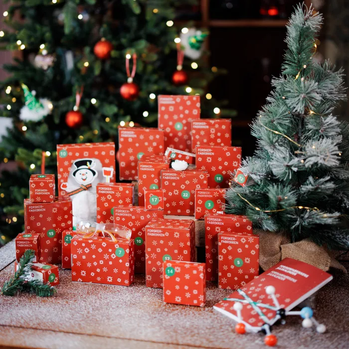 Adventskalender 2026