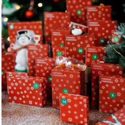 Adventskalender 2026 - Bild 7