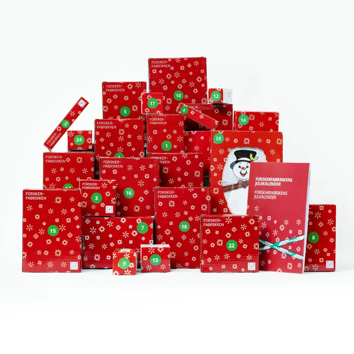 Adventskalender 2026 - Bild 5