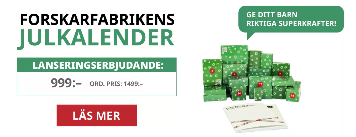 Adventskalender 2024 – 24 luckor